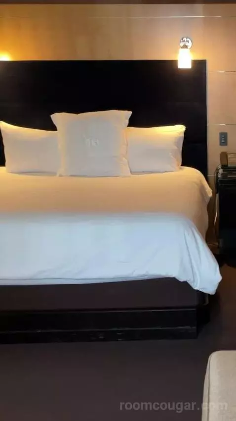 Deluxe King Room bed picture #11