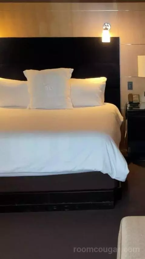 Deluxe King Room bed picture #12