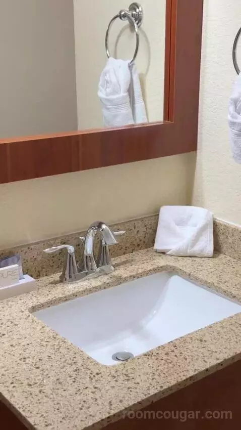 Deluxe Queen Room with Two Queen Beds bathroom picture #1