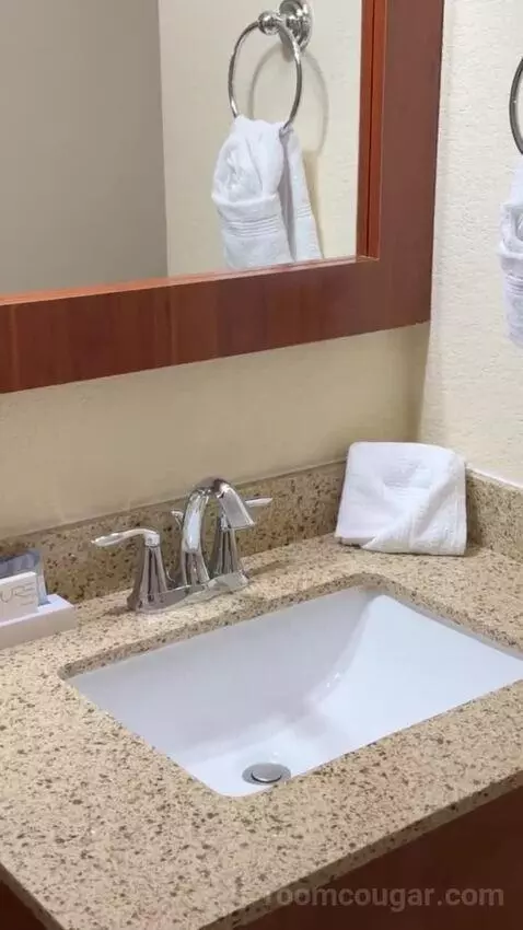 Deluxe Queen Room with Two Queen Beds bathroom picture #2