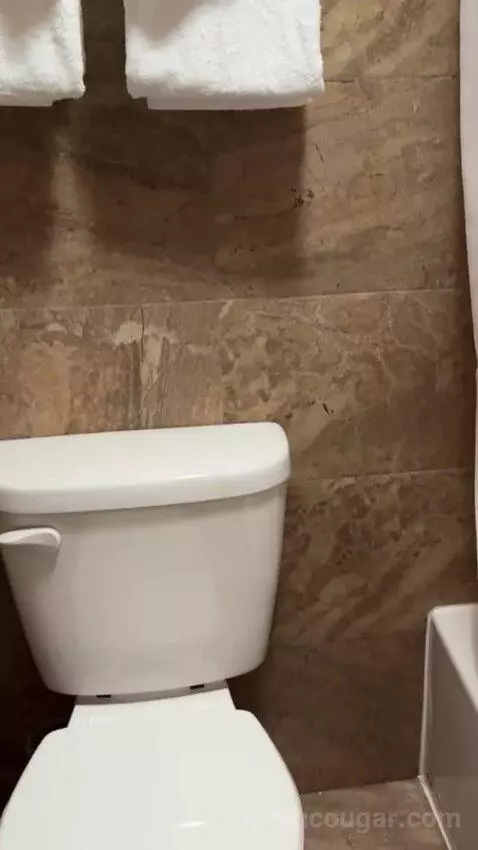 Deluxe Queen Room with Two Queen Beds bathroom picture #6