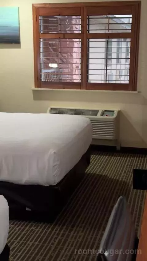Deluxe Queen Room with Two Queen Beds bed picture #1
