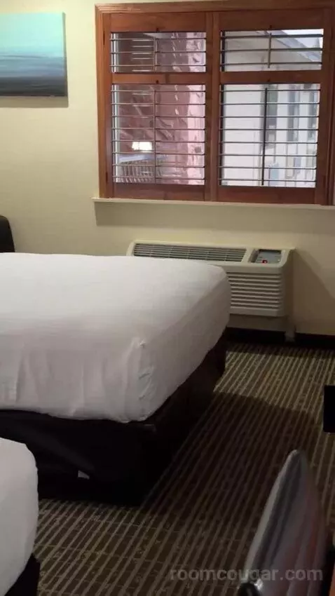 Deluxe Queen Room with Two Queen Beds bed picture #2