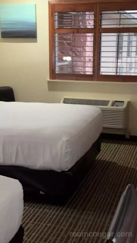 Deluxe Queen Room with Two Queen Beds bed picture #3
