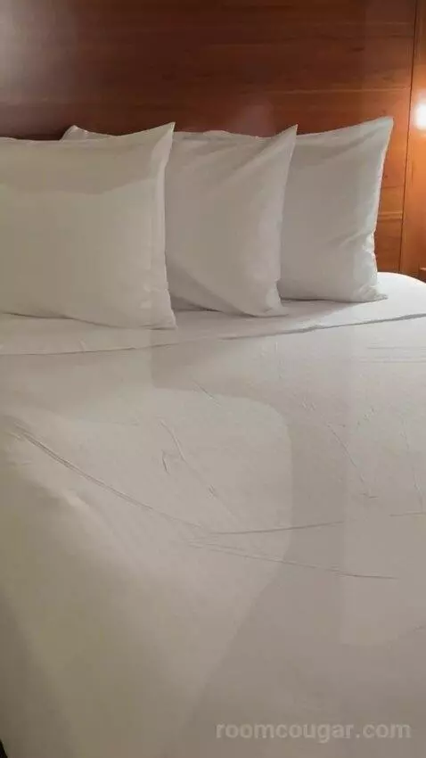 Deluxe Queen Room with Two Queen Beds bed picture #4