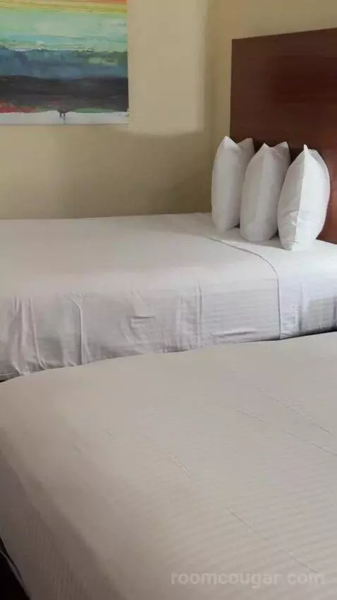 Deluxe Queen Room with Two Queen Beds bed picture #7