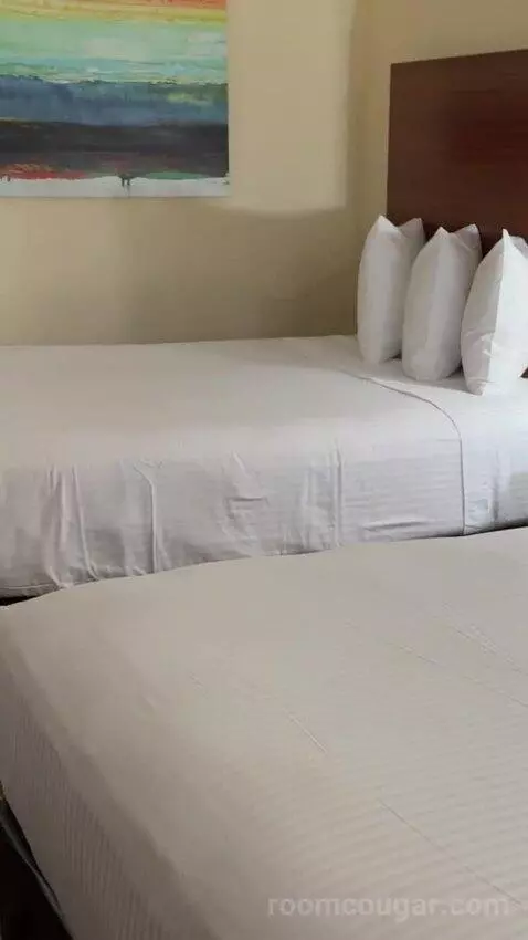 Deluxe Queen Room with Two Queen Beds bed picture #8