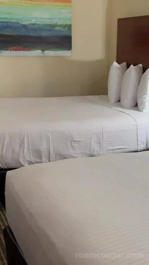 Deluxe Queen Room with Two Queen Beds bed picture #9