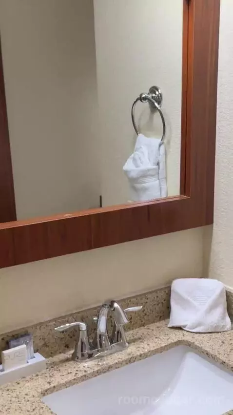 Deluxe King Room bathroom picture #1