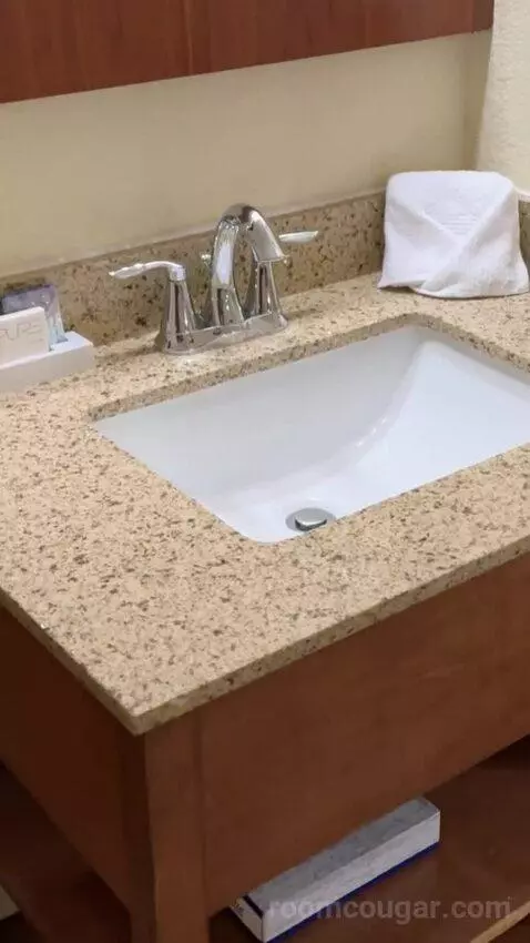 Deluxe King Room bathroom picture #4