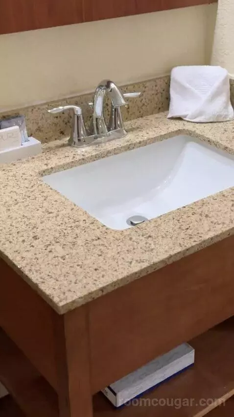 Deluxe King Room bathroom picture #5