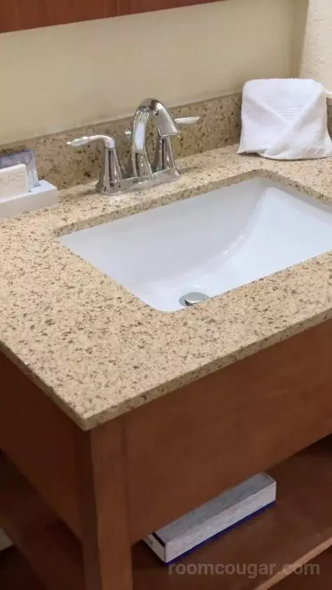 Deluxe King Room bathroom picture #6