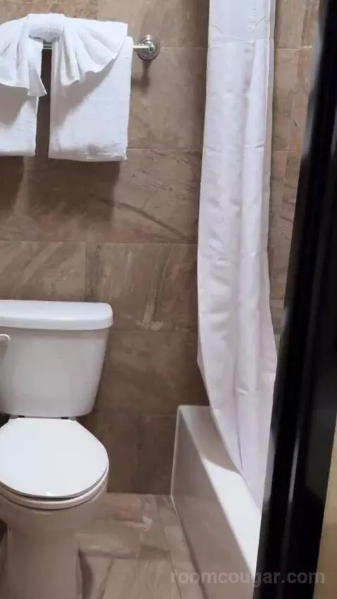 Deluxe King Room bathroom picture #7