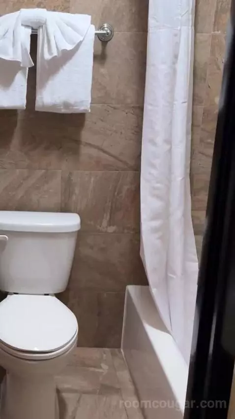 Deluxe King Room bathroom picture #8