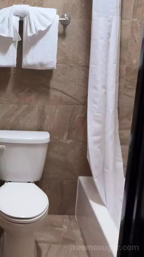 Deluxe King Room bathroom picture #9