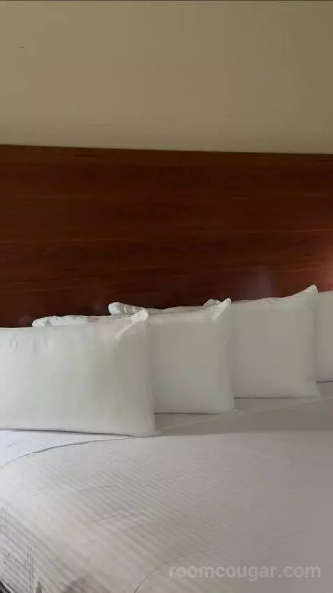 Deluxe King Room bed picture #1