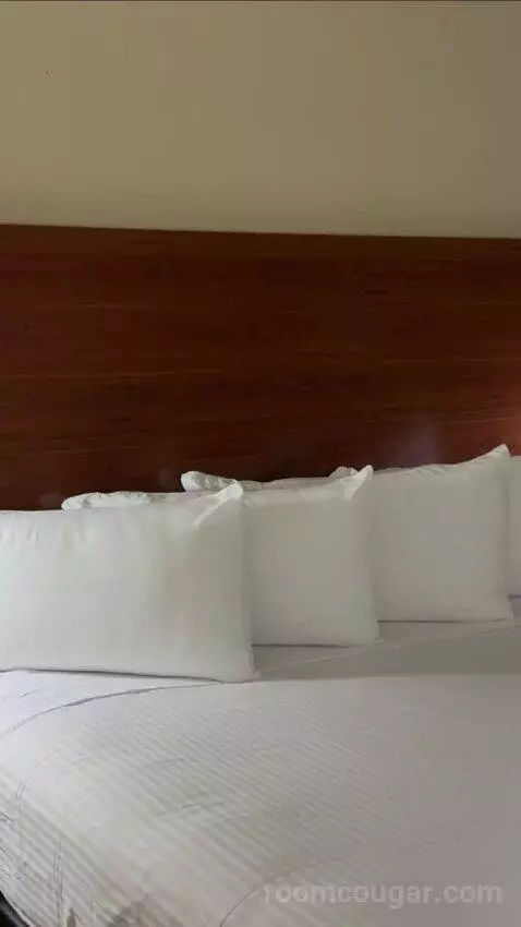 Deluxe King Room bed picture #2