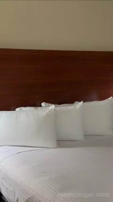 Deluxe King Room bed picture #3