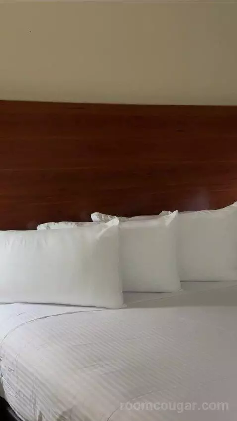 Deluxe King Room bed picture #4