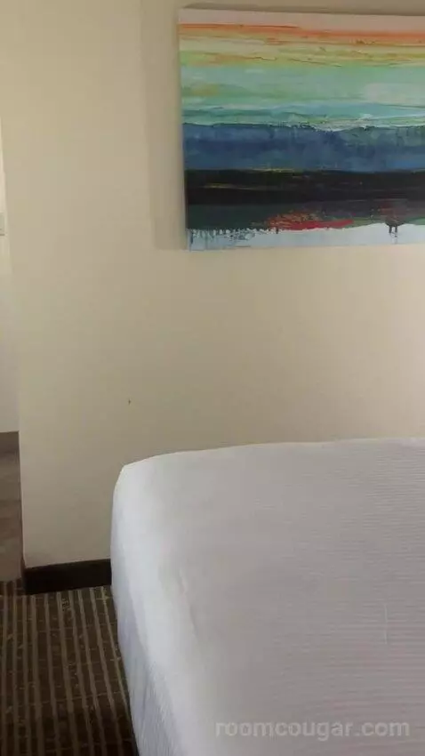 Deluxe King Room bed picture #8