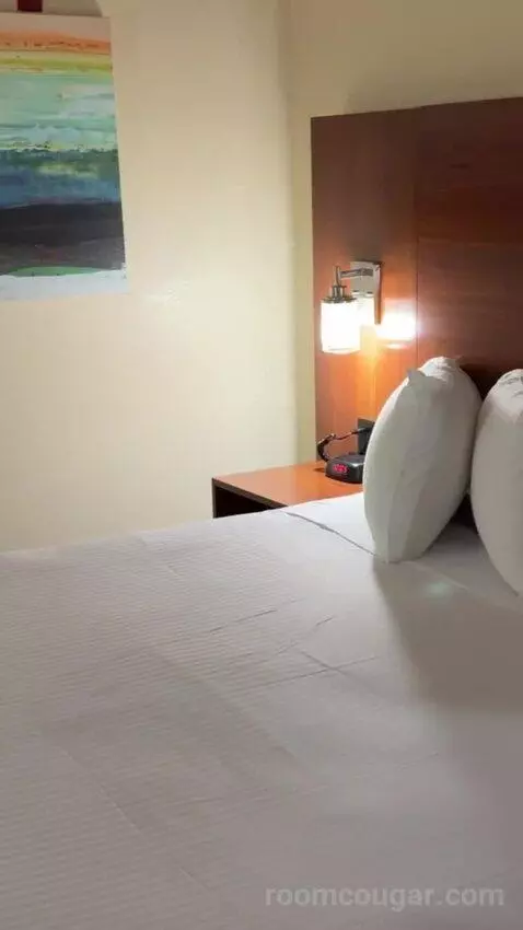 Deluxe King Room bed picture #9