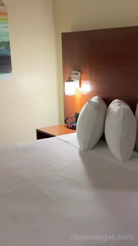 Deluxe King Room bed picture #12