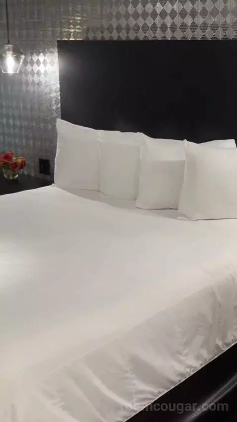 King Suite bed picture #11