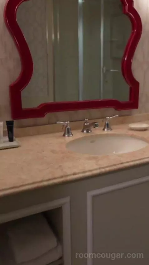 Bordeaux Corner Room King bathroom picture #4