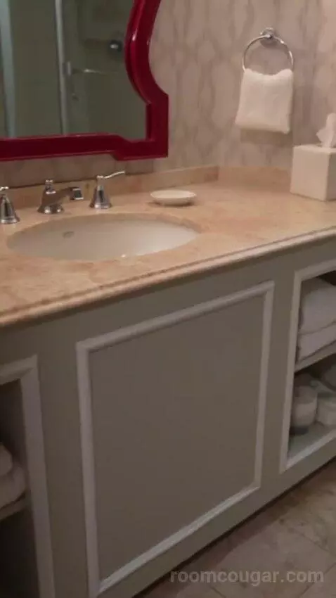 Bordeaux Corner Room King bathroom picture #5