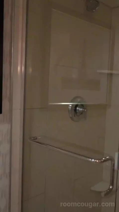 Bordeaux Corner Room King bathroom picture #10