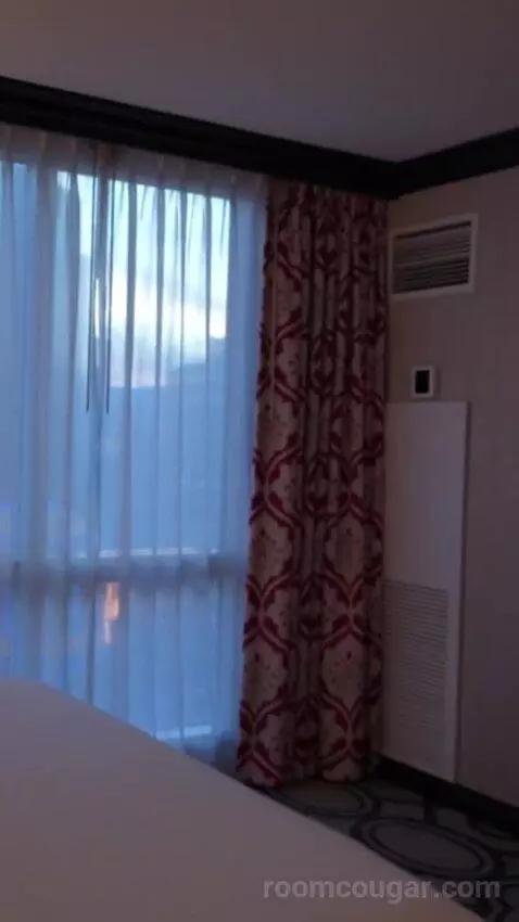 Bordeaux Corner Room King bed picture #7