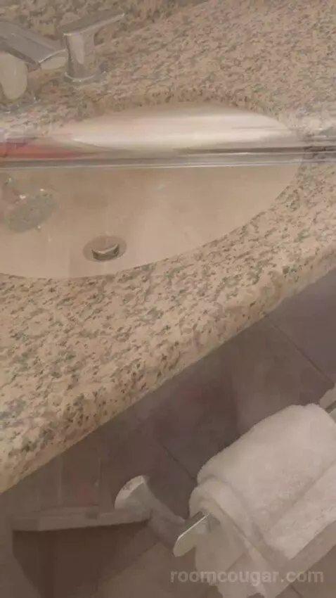 Premier Room - 1 King Bed bathroom picture #7