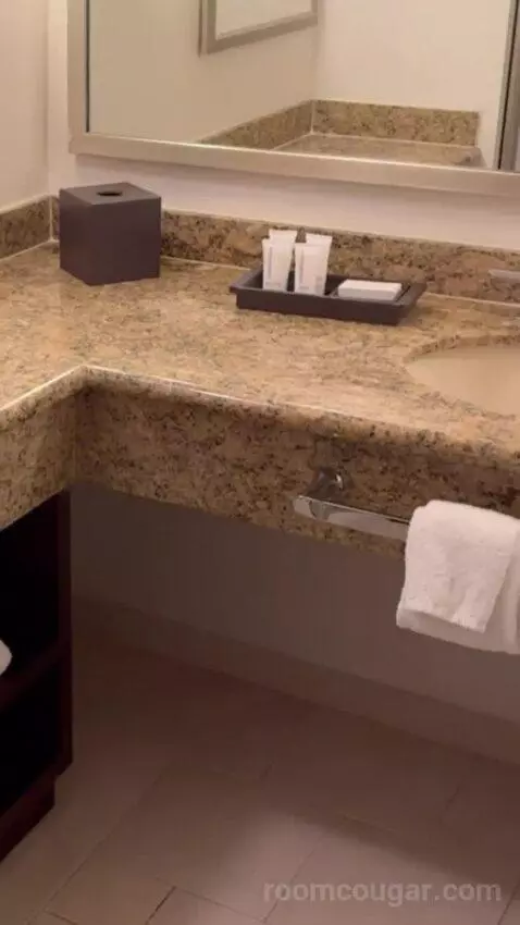 Studio Suite - 1 King Bed bathroom picture #1