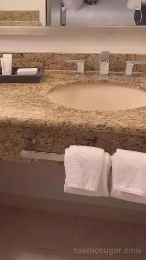 Studio Suite - 1 King Bed bathroom picture #6