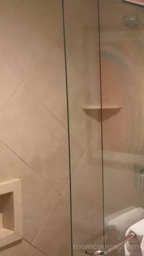 Studio Suite - 1 King Bed bathroom picture #8