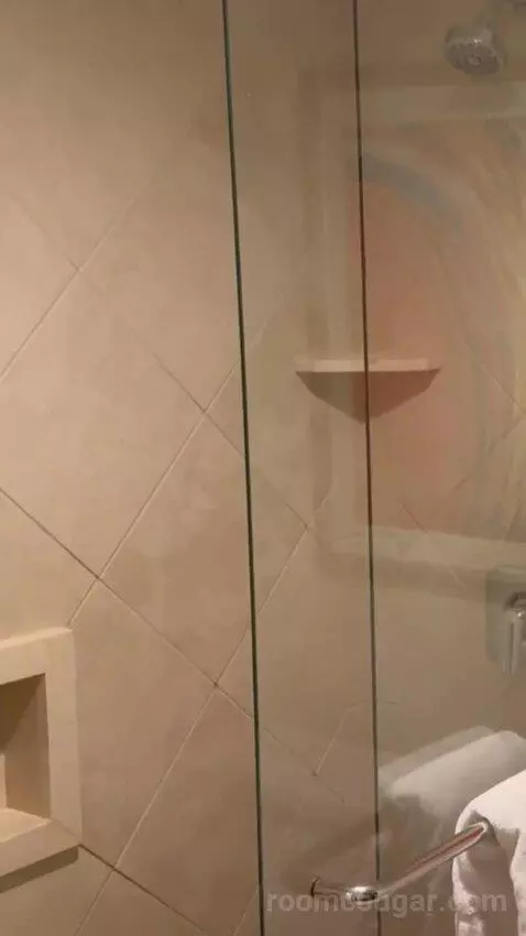 Studio Suite - 1 King Bed bathroom picture #9