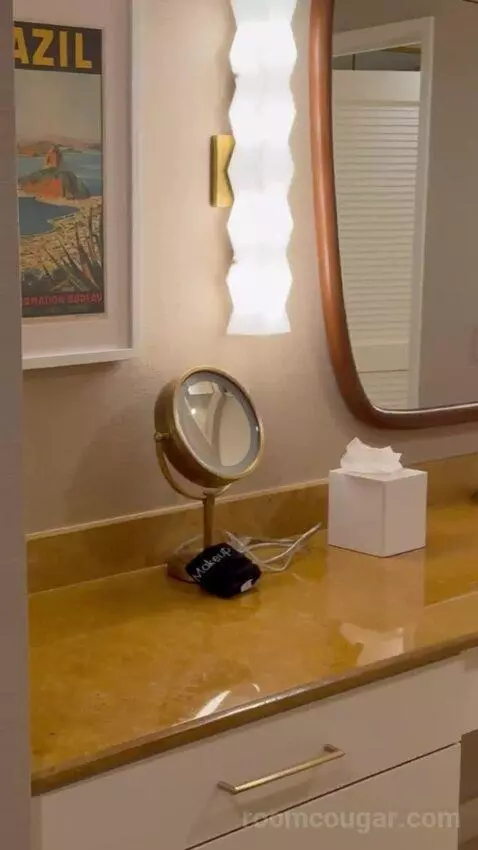 King Suite Room bathroom picture #1