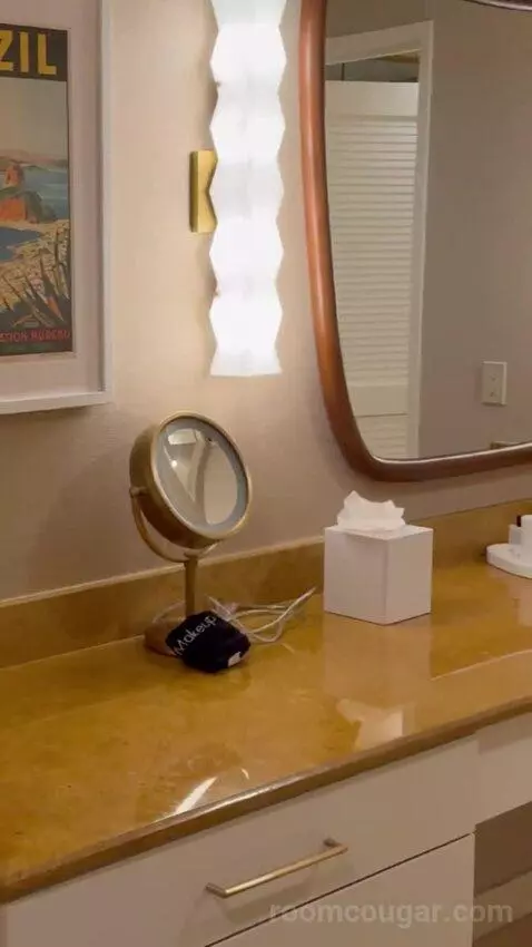 King Suite Room bathroom picture #2