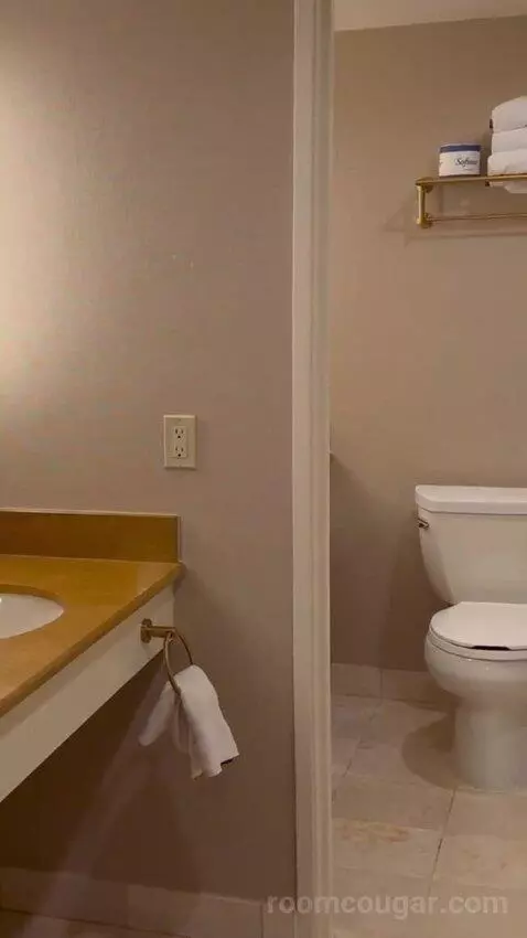 King Suite Room bathroom picture #3