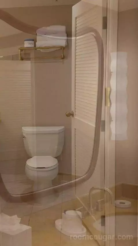 King Suite Room bathroom picture #5