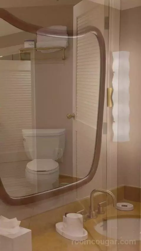 King Suite Room bathroom picture #6