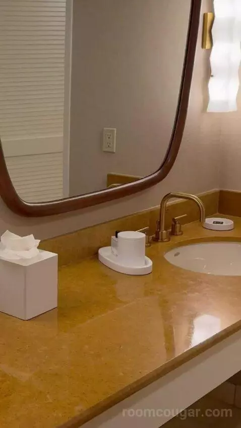 King Suite Room bathroom picture #7