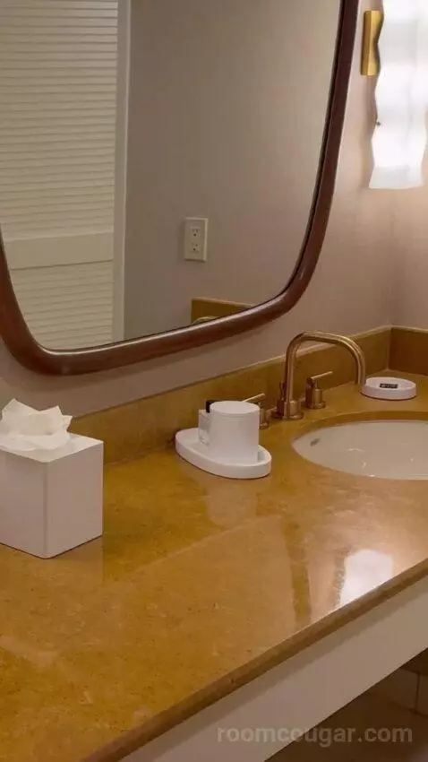 King Suite Room bathroom picture #8