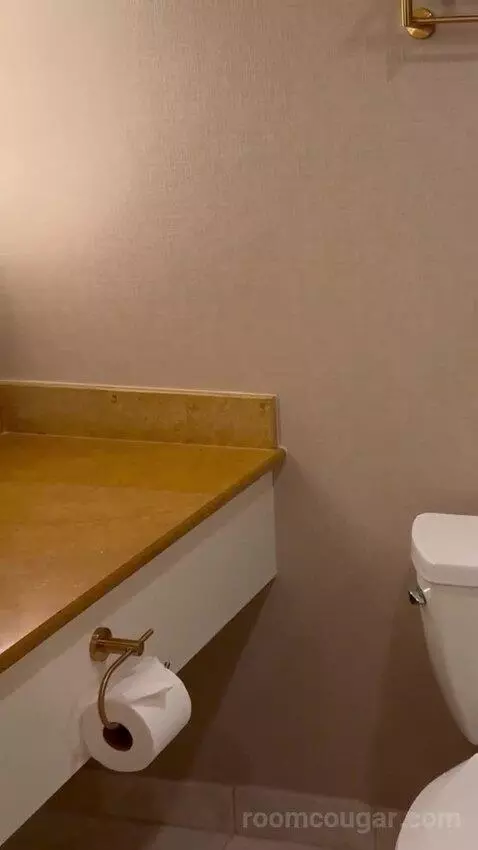 King Suite Room bathroom picture #9