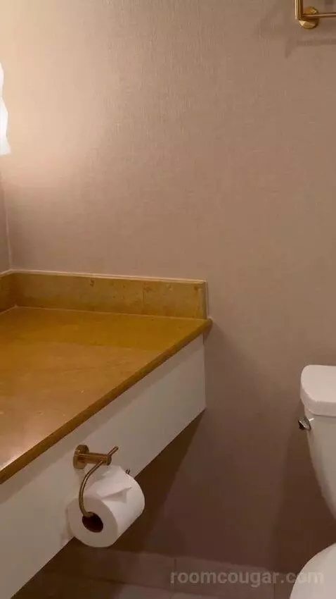 King Suite Room bathroom picture #10