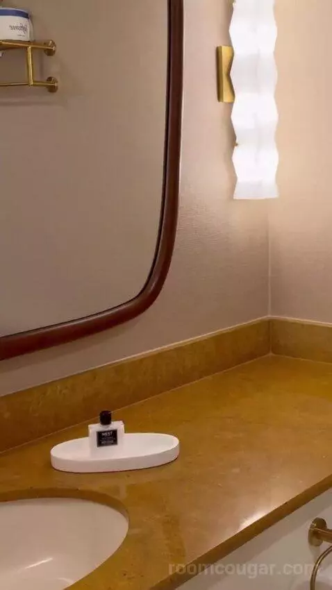 King Suite Room bathroom picture #11