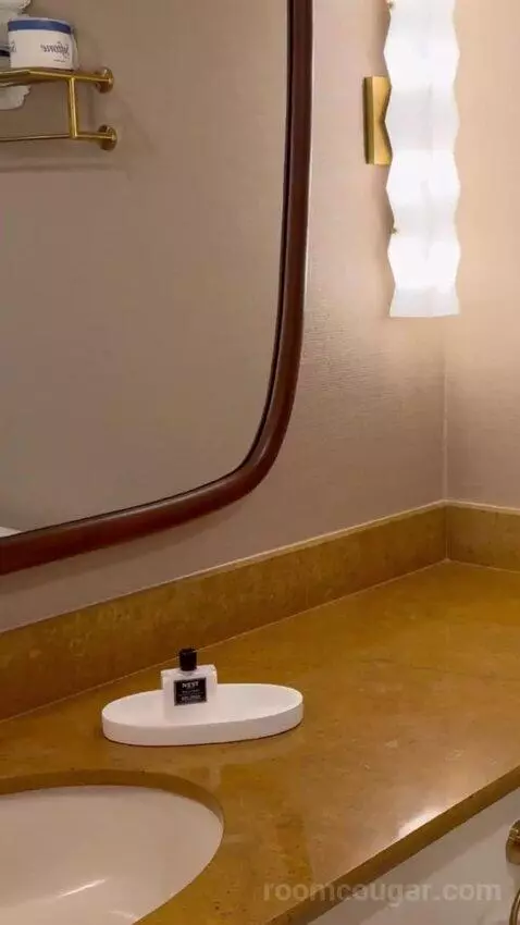 King Suite Room bathroom picture #12