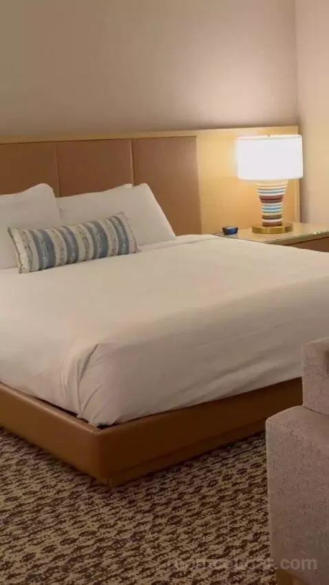 King Suite Room bed picture #1