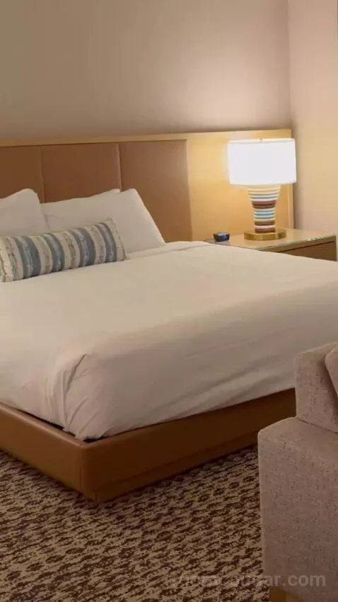King Suite Room bed picture #2