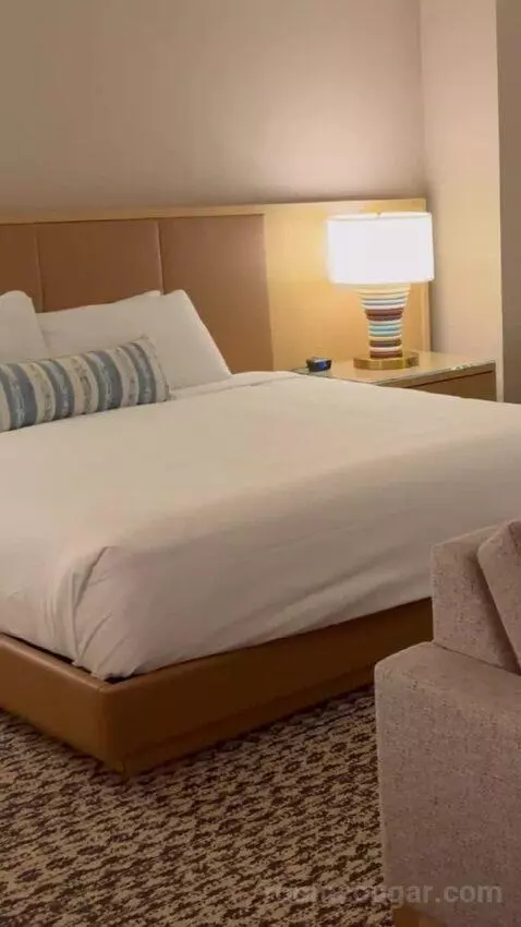 King Suite Room bed picture #3